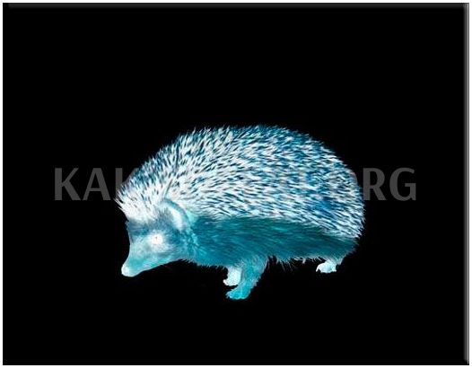 Как сделать инверсию слоя в фотошопе