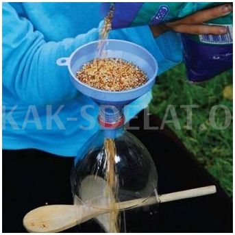 Как сделать кормушку из бутылки пластиковой