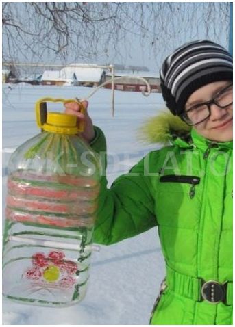 Как сделать кормушку из бутылки пластиковой