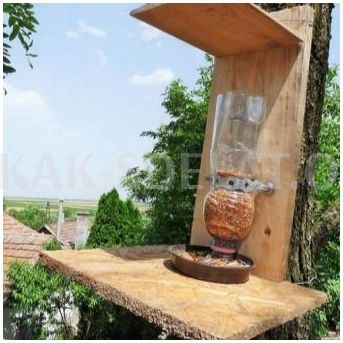 Как сделать кормушку из бутылки пластиковой