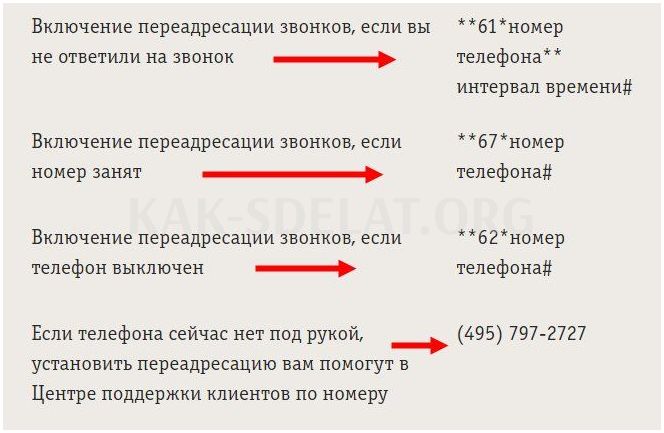 Как сделать переадресацию с билайна на билайн