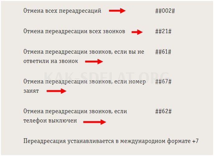 Как сделать переадресацию с билайна на билайн