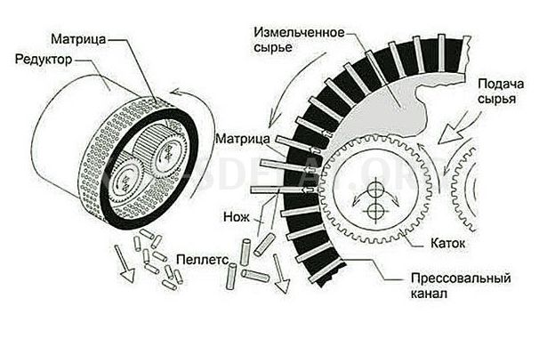 Как сделать гранулятор из мясорубки