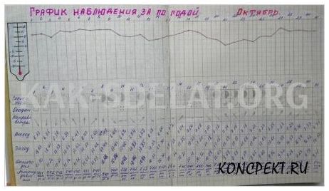 Как сделать дневник наблюдения