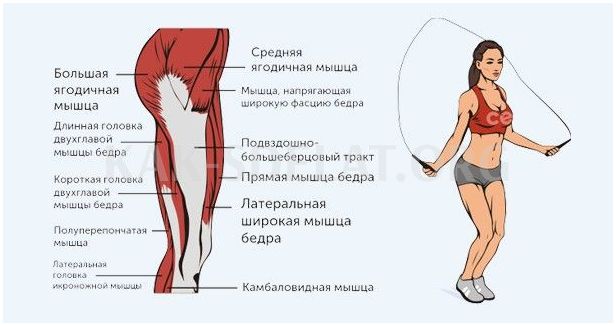 Как сделать заднее сальто с места