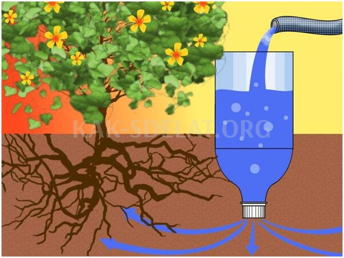 Как сделать капельный полив из пластиковых бутылок