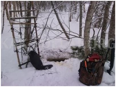 Как сделать петлю на бобра своими руками