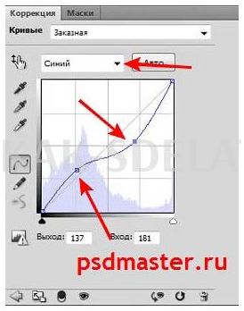 Как сделать эффект рыбий глаз в фотошопе