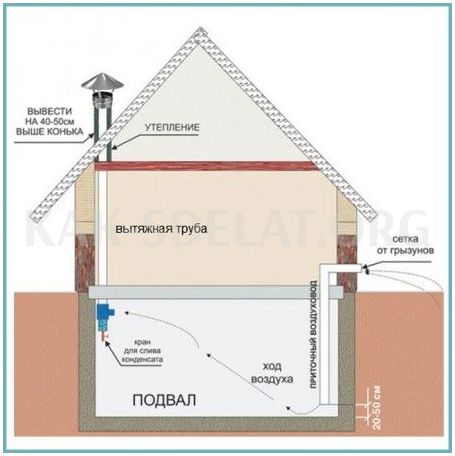 Как сделать погреб если близко грунтовые воды