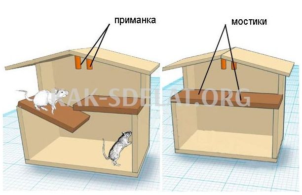 Как сделать в домашних условиях мышеловку